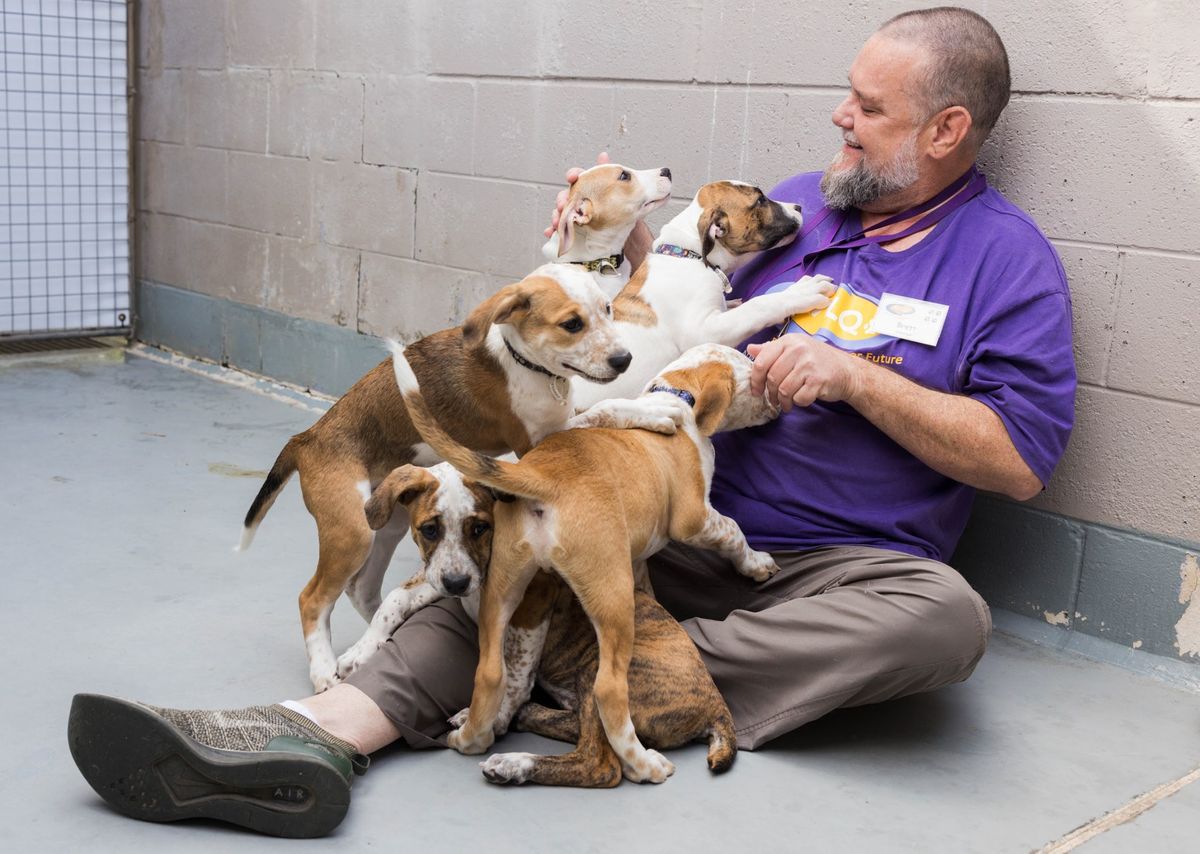 Animal Care and Rehoming Centres