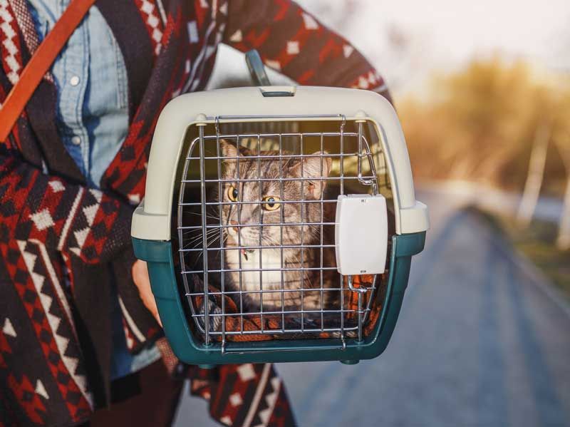 Disaster Preparedness