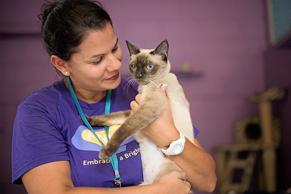 Already a volunteer?